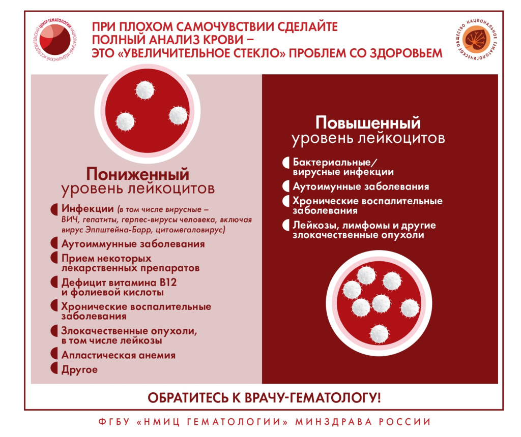 кровь 1.jpg